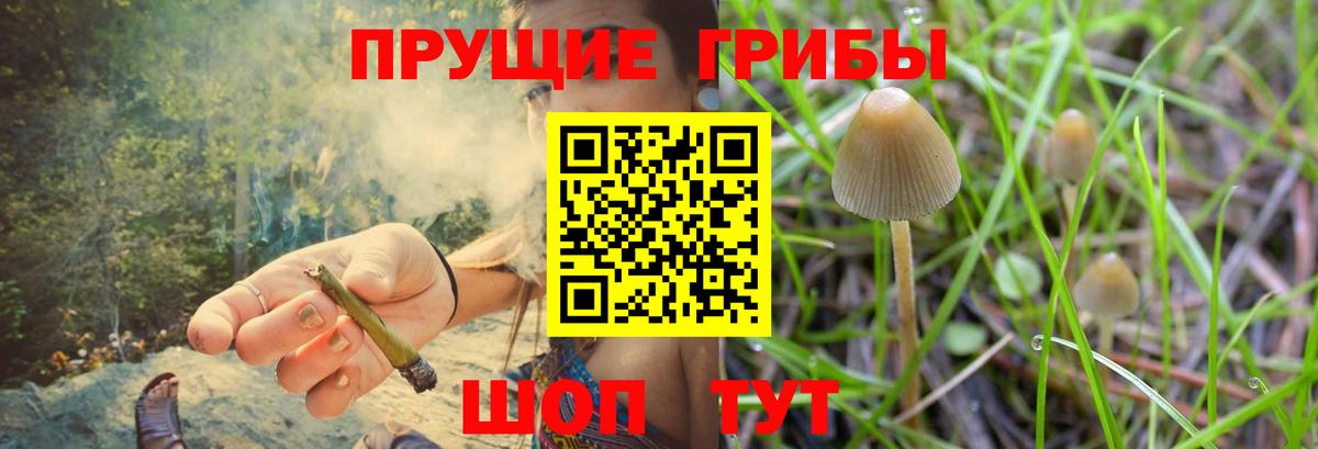 Псилоцибиновые грибы мицелий Анапа